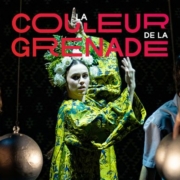 Bannière Couleur de la grenade