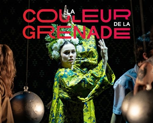 Bannière Couleur de la grenade